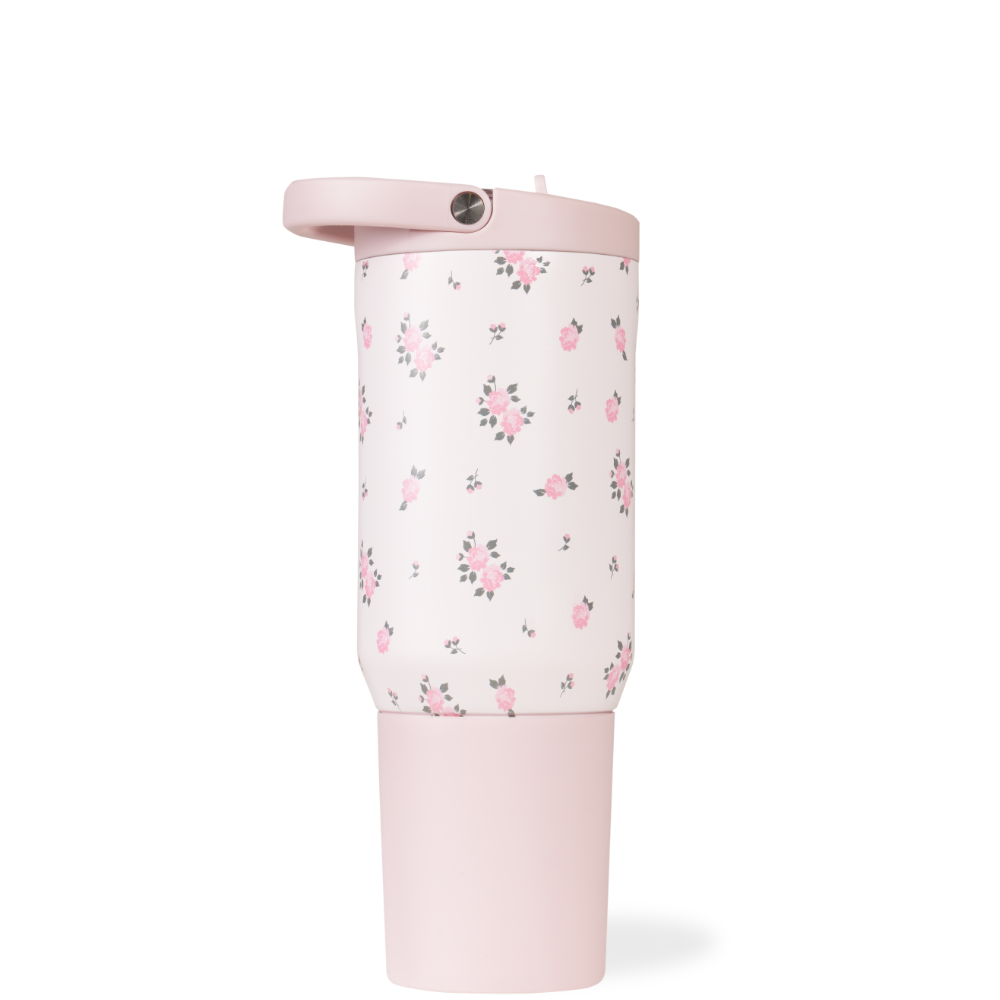 Bows - Sport (14oz) bk q2 ty uv